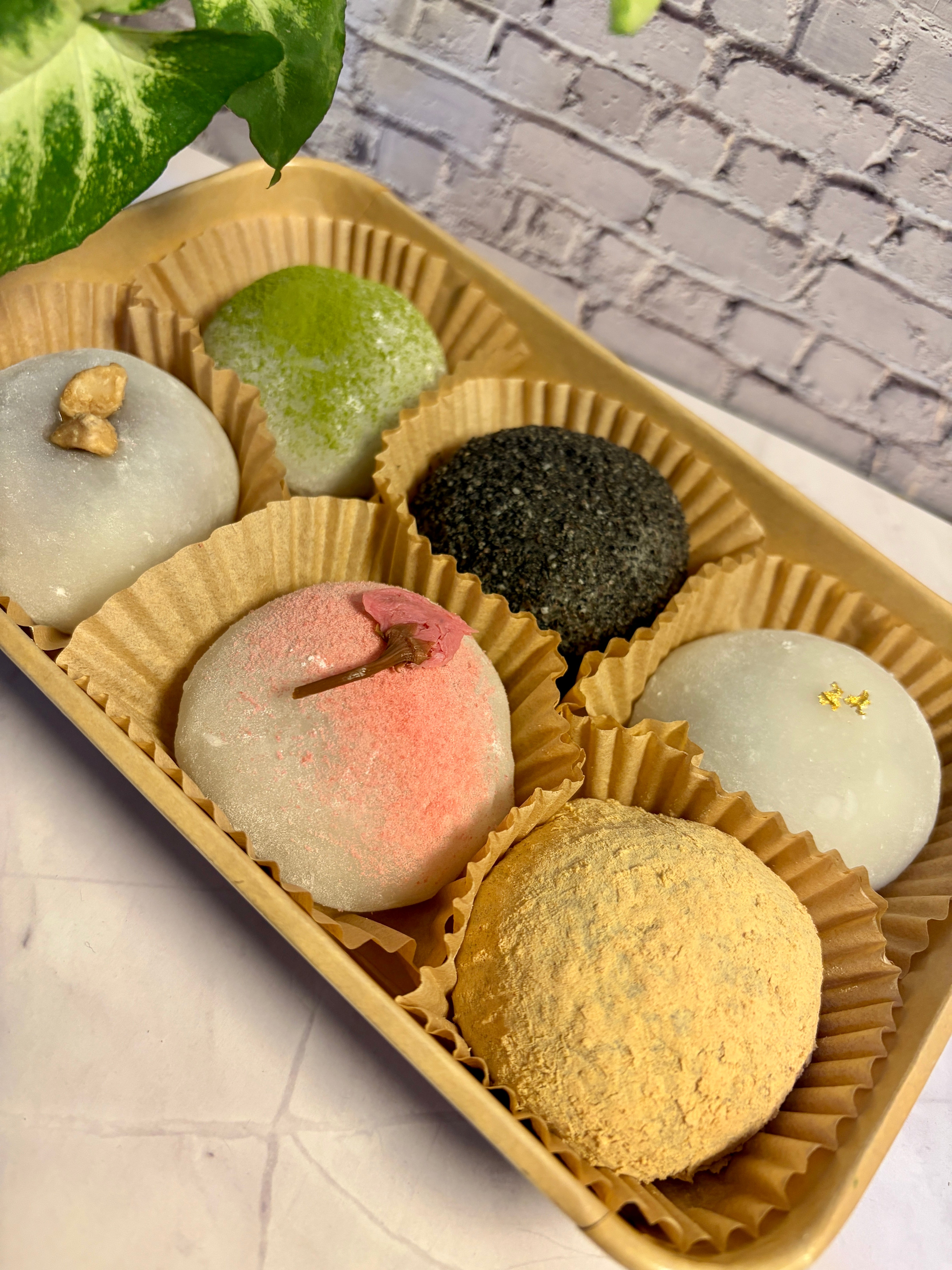 Daifuku Assorted Box (6 Pieces) | Handmade Japanese Mochi in Perth